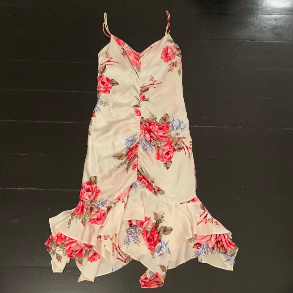 Betsey Johnson Silk Roses Dress 10 M